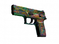 P250 Visions